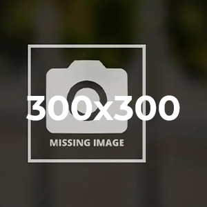 xxxCOMPANY Owner - Head shot