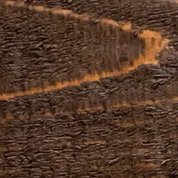 Chocolate fence stain and seal