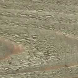 Eucalyptus fence stain and seal