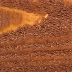 Pecan fence stain and seal