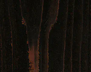 Fence Stain Contractor in xxxREGION