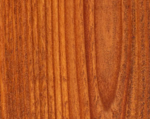 Fence Stain Contractor in xxxREGION