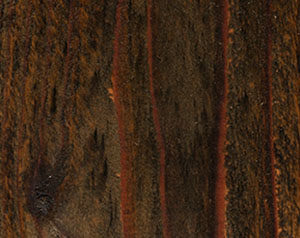 Fence Stain Contractor in xxxREGION