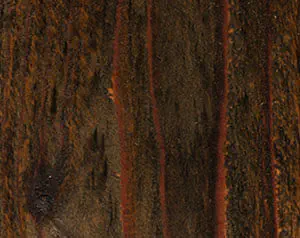 Fence Stain Contractor in xxxREGION