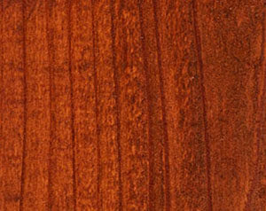 Fence Stain Contractor in xxxREGION