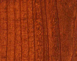 Fence Stain Contractor in xxxREGION