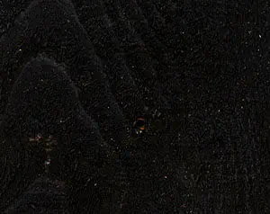 Black Wood Defender fence stain