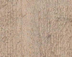 Cape Cod Wood Defender fence stain