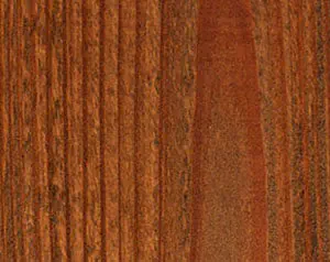 Leatherwood Wood Defender fence stain