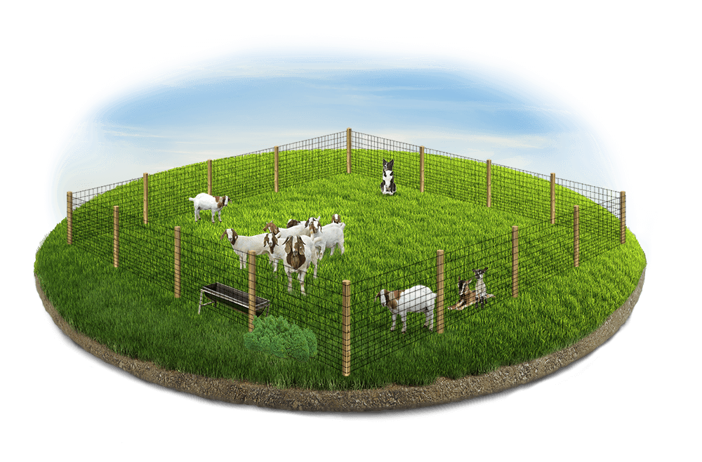Farm Fence Contractor in xxxREGION